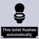 this-toilet-flushes-automatically~